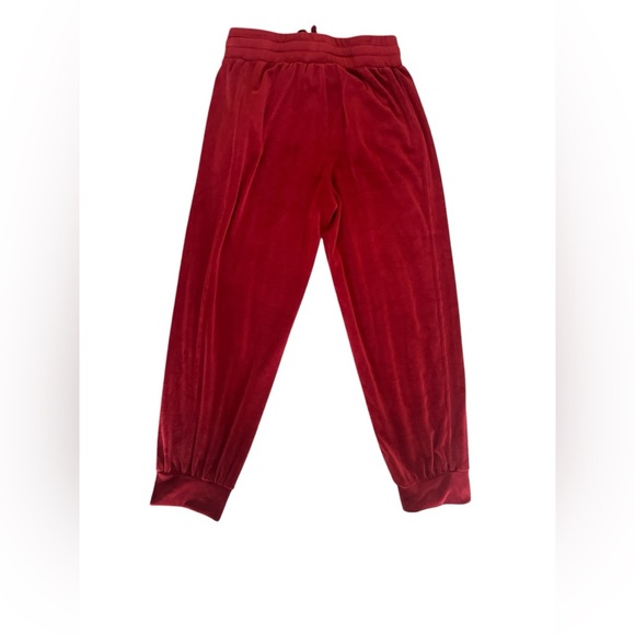 Saturday Sunday by Anthropologie Ladies Velour Red Joggers Size Medium - Picture 3 of 6